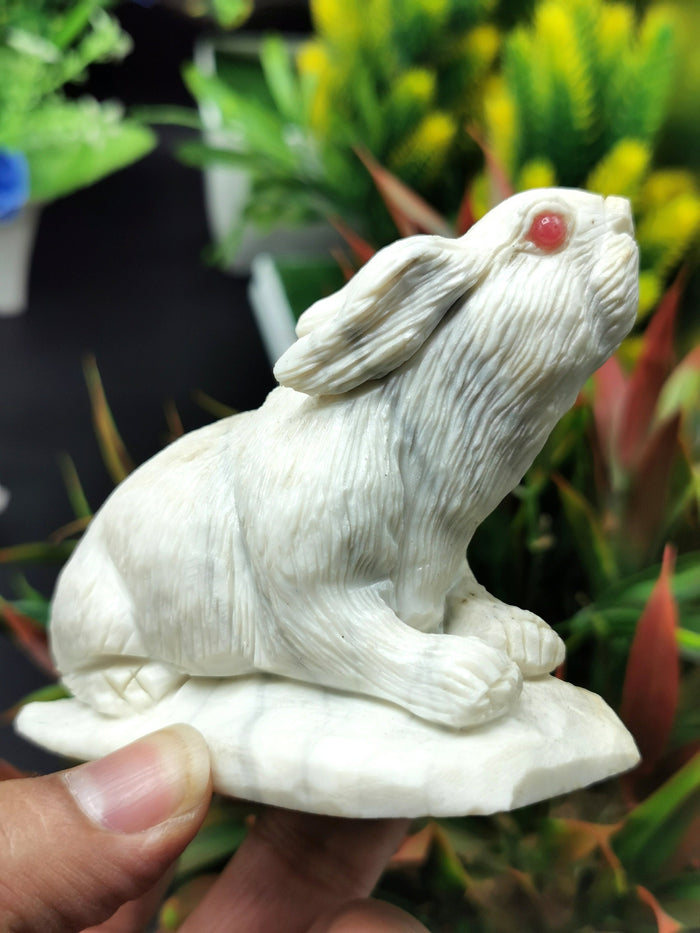 White Jade Stone carving of rabbit - spirit animal - home decor gemstone carving - Shwasam