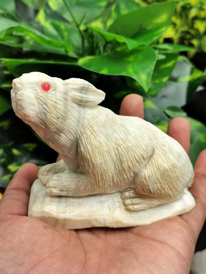 White Jade Stone carving of rabbit - spirit animal - home decor gemstone carving - Shwasam