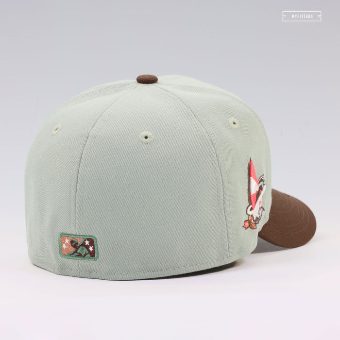 WICHITA WIND SURGE THE WILD ROBOT ESCAPES INSPIRED NEW ERA FITTED CAP