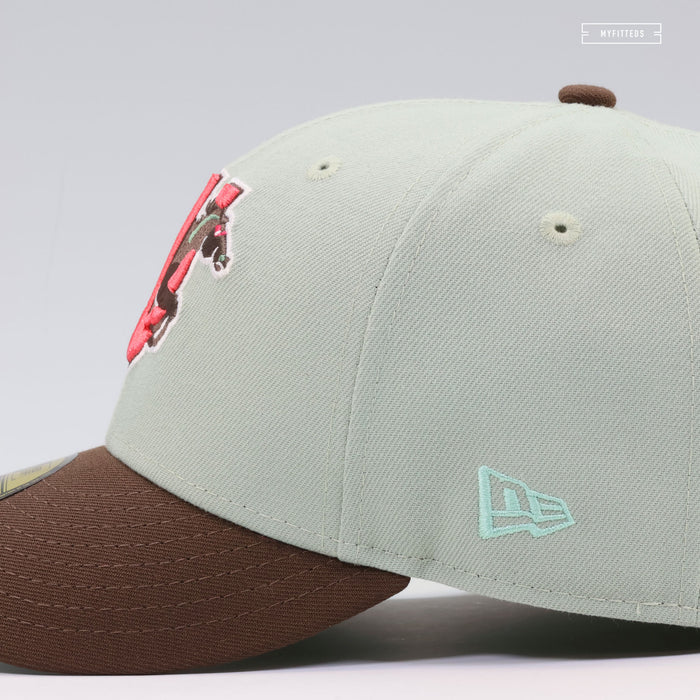 WICHITA WIND SURGE THE WILD ROBOT ESCAPES INSPIRED NEW ERA FITTED CAP